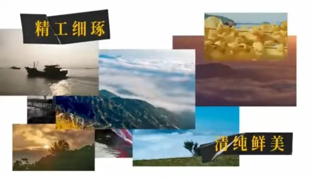 美食如潮，肆海共享