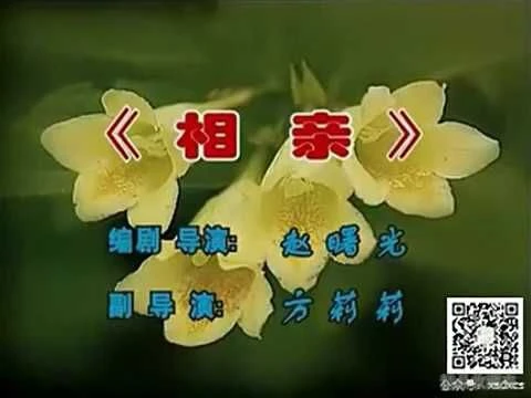 潮汕小品 《相亲》水鸡兄、夏雨来搞笑系列 潮汕话高清